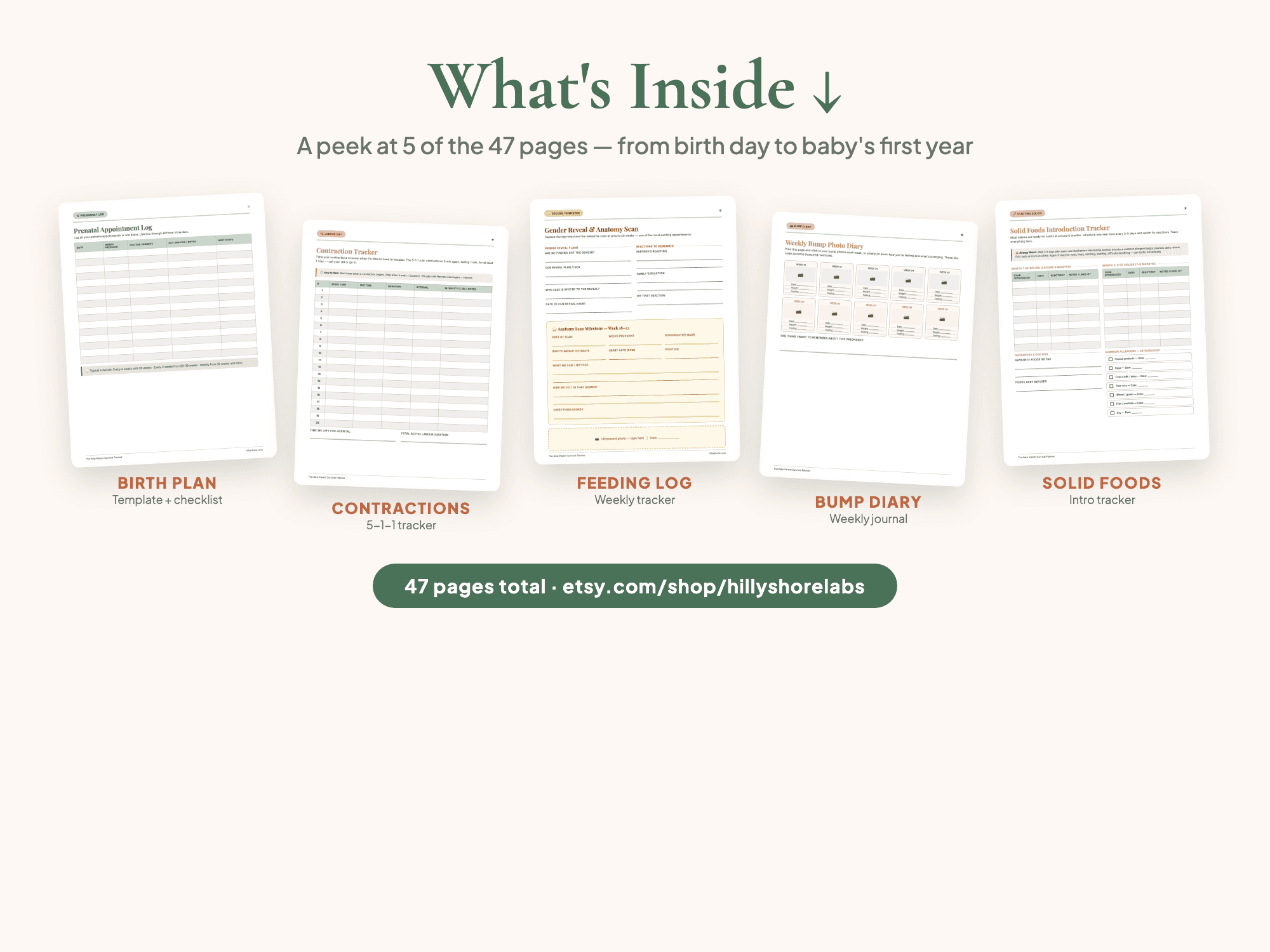 5 sample pages from the New Parent Planner — Birth Plan, Contraction Tracker, Feeding Log, Bump Diary, Solid Foods