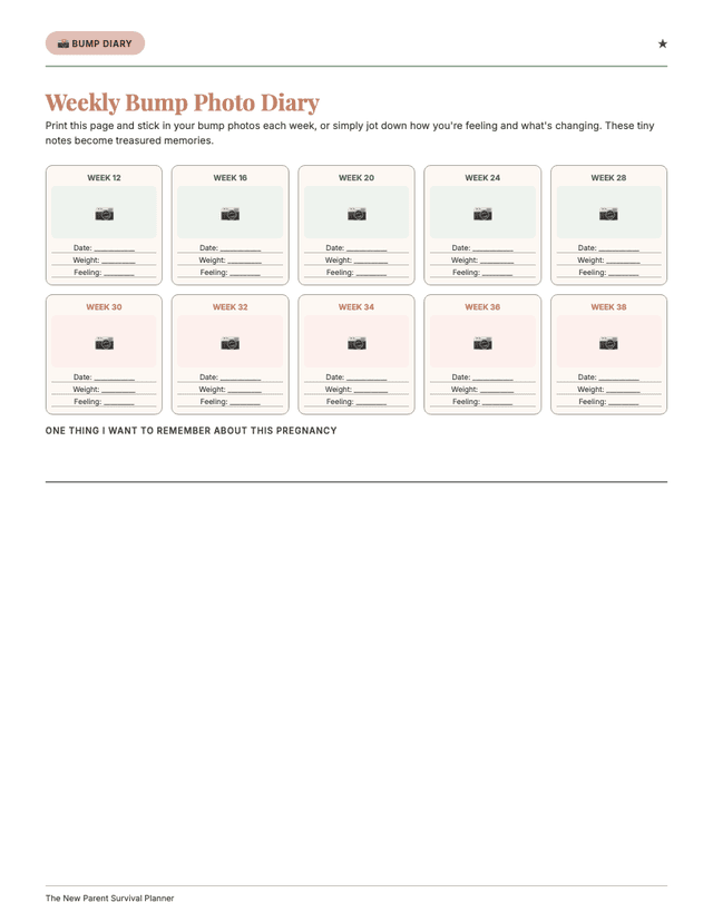Bump Diary page from New Parent Planner